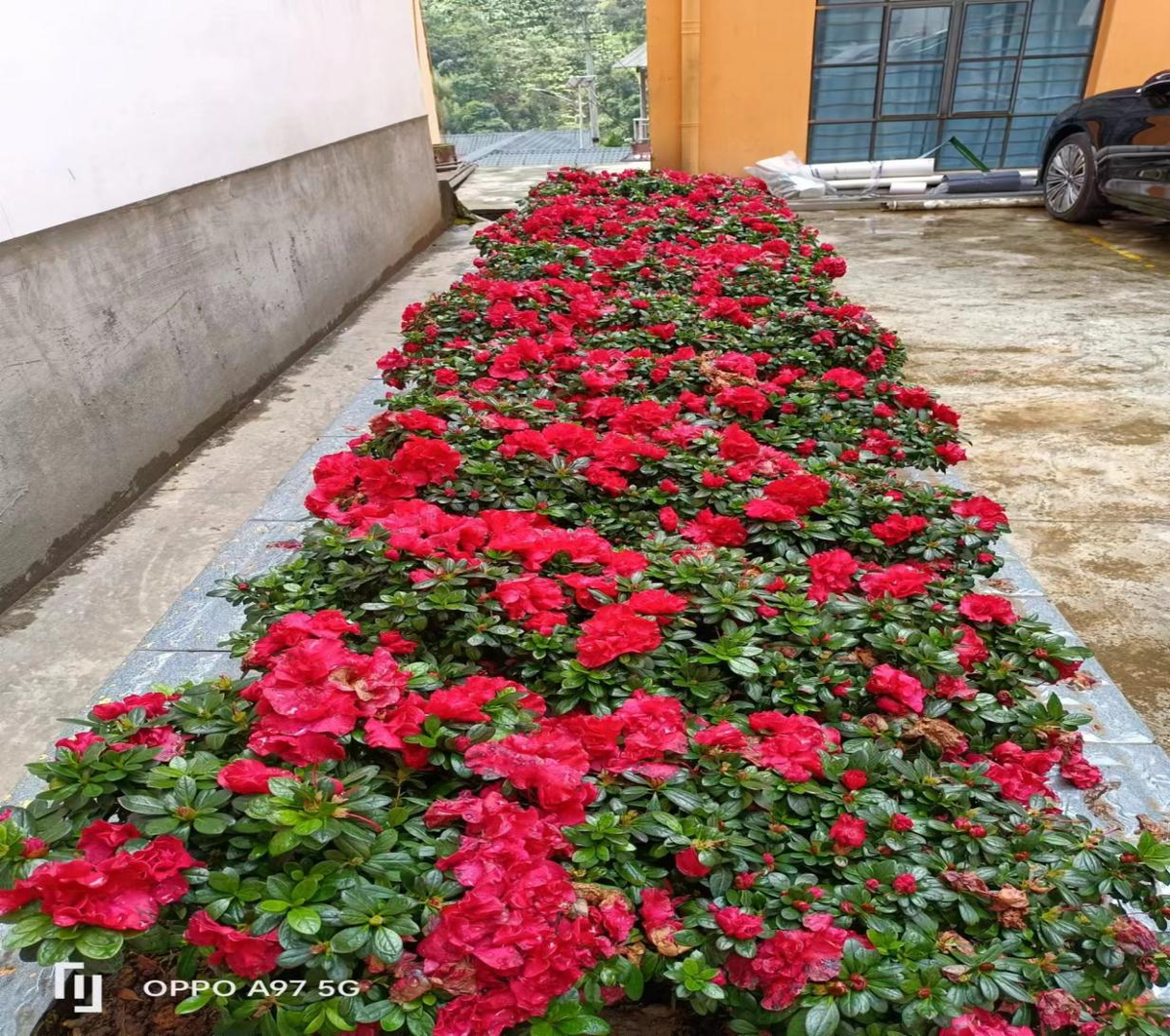 勇于担当作为 善于攻坚克难