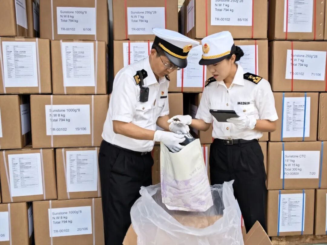 孟定海关工作人员在凤庆上土茶业有限公司勐佑精制工厂查验出口茶产品。郑家斌摄.jpg